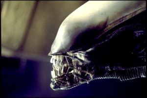 alien_movie