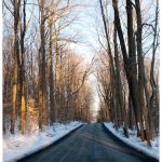 Photos: The Long Drive Home