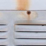 Photos: Homesteading