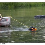 2010-06-12 rescue dogsX1600-2