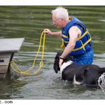 2010-06-12 rescue dogsX1600-5