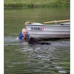 2010-06-12 rescue dogsX1600-7