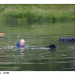 2010-06-12 rescue dogsX1600-8