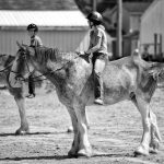 The Geauga County Fair