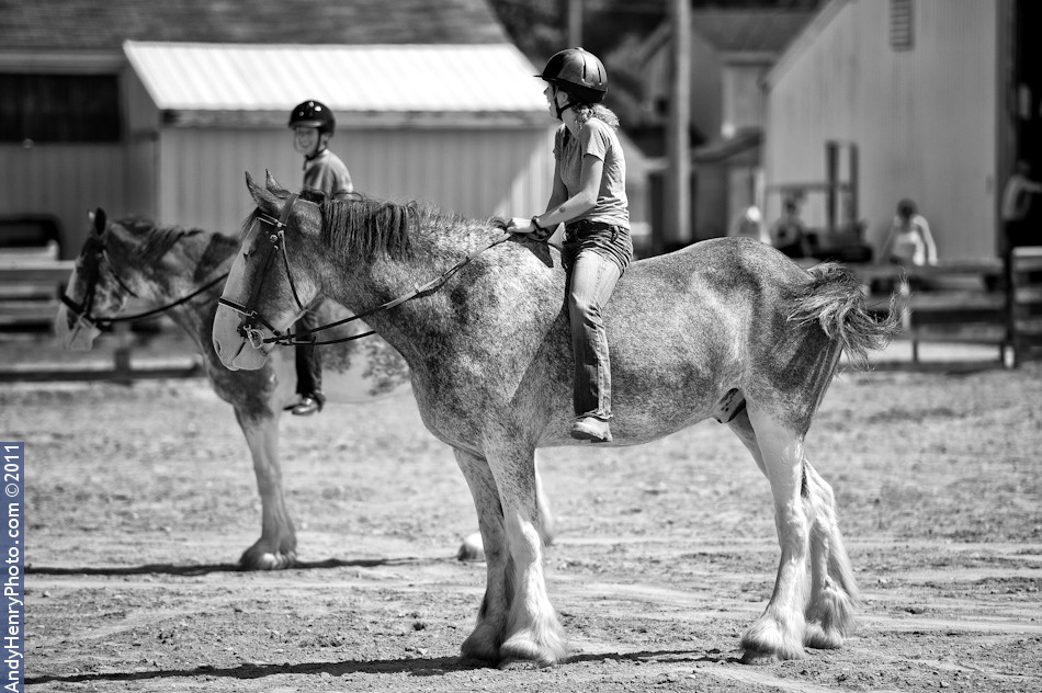 geauga-fair-19